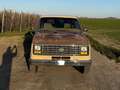 Ford Econoline E150 Club Wagon Beżowy - thumbnail 3