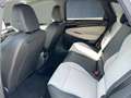 Volkswagen ID.7 Pro Matrix/DCC/H&K/20''/Assist/Nav/Plus/App Weiß - thumbnail 15