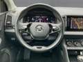 Skoda Karoq 2.0 TDI 4x4 DSG CLEVER LED+NAVI+STDHZG+AHK Grau - thumbnail 10
