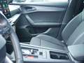 CUPRA Formentor 2.0 TSI VZ DCC NAVI ACC LED BEATS Grau - thumbnail 19