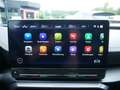 CUPRA Formentor 2.0 TSI VZ DCC NAVI ACC LED BEATS Grau - thumbnail 12