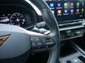 CUPRA Formentor 2.0 TSI VZ DCC NAVI ACC LED BEATS Grau - thumbnail 16