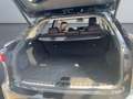 Lexus RX 450h Luxury Line *Allrad*HUD*360*Pano*Levinson* Schwarz - thumbnail 18