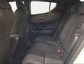 Toyota C-HR 125H Advance Blanco - thumbnail 11