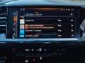 Audi 50 e-tron quattro ACC, Matrix, R. Kamera Schwarz - thumbnail 13