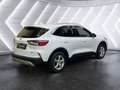 Ford Kuga 2,5 Duratec PHEV Aut. **Titanium X** Weiß - thumbnail 5