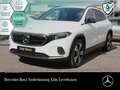 Mercedes-Benz EQA 250 PROG+NIGHT+ADVANCED+AHK+KAMERA Weiß - thumbnail 1