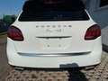 Porsche Cayenne S Weiß - thumbnail 6