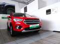 Ford Kuga 2ª serie - Kuga 2.0 TDCI 120 CV S&S 2WD Business Rosso - thumbnail 1