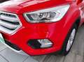 Ford Kuga 2ª serie - Kuga 2.0 TDCI 120 CV S&S 2WD Business Rosso - thumbnail 3