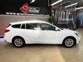 Ford Focus Titanium Blanco - thumbnail 3