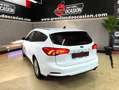 Ford Focus Titanium Blanco - thumbnail 9
