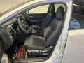 Nissan Qashqai 1.3 Mhev N-Connecta  4wd 158cv Xtronic Bianco - thumbnail 7