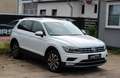 Volkswagen Tiguan 2.0 TDI Highline 4Motion BMT*AHK*PANO*LED Blanc - thumbnail 5