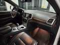 Jeep Grand Cherokee 3.0 V6 CRD 250 CV Multijet II Overland Weiß - thumbnail 13