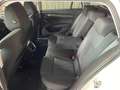 Skoda Octavia Style 4x4 *Matrix*DSG*Service NEU*1.Besitz*AHK*ACC Weiß - thumbnail 12