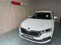 Skoda Octavia Style 4x4 *Matrix*DSG*Service NEU*1.Besitz*AHK*ACC Weiß - thumbnail 2