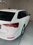 Skoda Octavia Style 4x4 *Matrix*DSG*Service NEU*1.Besitz*AHK*ACC Weiß - thumbnail 27