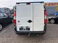 Fiat Doblo 1.3 JTD SX Kasten Blanc - thumbnail 11