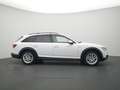 Audi A4 allroad quattro VIRT AHK NAVI PANO AHK SHZ Weiß - thumbnail 3