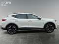 CUPRA Formentor 1.5 TSI DSG CarPlay*Keyless*ACC Weiß - thumbnail 7