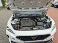 CUPRA Formentor 1.5 TSI DSG CarPlay*Keyless*ACC Weiß - thumbnail 18