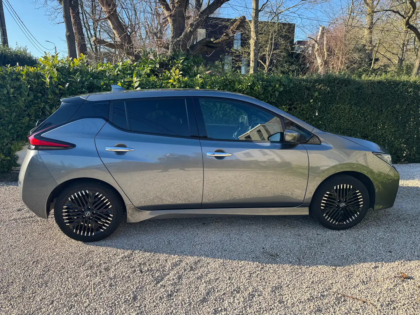 Nissan Leaf Leaf+40+kWh+N-Connecta Gris - 2