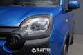 Fiat Panda Pandina 1.0 Firefly Hybrid 70CV Cross Blau - thumbnail 3