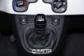 Fiat Panda Pandina 1.0 Firefly Hybrid 70CV Cross Blau - thumbnail 26