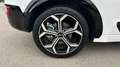 Kia Niro 1.6 GDI HEV EMOTION 141 5P Blanco - thumbnail 6