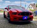 Ford Mustang Mustang GT 5.0 Rot - thumbnail 2