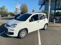 Fiat Panda 1.0 hybrid 70cv 5PL clim garantie 12MOIS Blanc - thumbnail 1