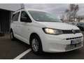 Volkswagen Caddy 5 Sitzer 2,0 TDI SCR Frontantrieb 6-Gang Radst.275 Blanco - thumbnail 5