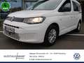 Volkswagen Caddy 5 Sitzer 2,0 TDI SCR Frontantrieb 6-Gang Radst.275 Blanco - thumbnail 1