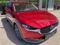 Mazda CX-30 PRIME LINE, 6Jahre/150.000km GARANTIE Rot - thumbnail 3
