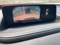Mazda CX-30 PRIME LINE, 6Jahre/150.000km GARANTIE Rot - thumbnail 15