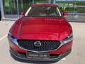 Mazda CX-30 PRIME LINE, 6Jahre/150.000km GARANTIE Rot - thumbnail 2