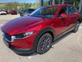 Mazda CX-30 PRIME LINE, 6Jahre/150.000km GARANTIE Rot - thumbnail 1