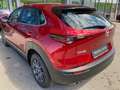 Mazda CX-30 PRIME LINE, 6Jahre/150.000km GARANTIE Rot - thumbnail 18