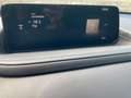 Mazda CX-30 PRIME LINE, 6Jahre/150.000km GARANTIE Rot - thumbnail 14