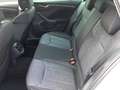 Skoda Kamiq 1.0TSI Clever LED Navi SHZ Rear View PDC virt. Coc Weiß - thumbnail 14