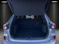 Ford Kuga 2.5 PHEV ST-Line X Aut./LED/ACC/KAMERA/PANO Bleu - thumbnail 15