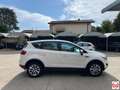 Ford Kuga 2.0 tdci Titanium 4wd 136cv Dpf Bianco - thumbnail 6