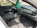BMW 520 520d xDrive Luxury Bianco - thumbnail 13