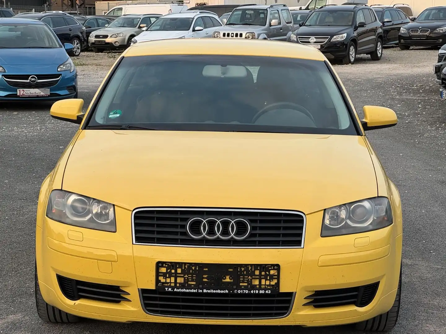 Audi A3 1.6 Attraction/KLIMAAUTOMATIK/EURO 4 Jaune - 2