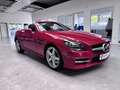 Mercedes-Benz SLK 250 AMG NAVI+LEDER+PANO+XENON+HARMAN+AIRCARF Rouge - thumbnail 21
