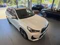 BMW X1 sDrive20i  M Sport M Sportpaket HK HiFi DAB Blanc - thumbnail 21