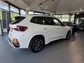 BMW X1 sDrive20i  M Sport M Sportpaket HK HiFi DAB Blanc - thumbnail 9