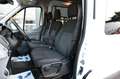 Ford Transit Kombi 350 L3H2 9- Sitze Rollstuhlgerecht Weiß - thumbnail 11
