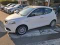 Lancia Ypsilon Ypsilon III 2015 1.2 Gold ecochic Gpl 69cv my16 Bianco - thumbnail 6